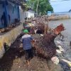 Abrasi Pantai Terjang Desa Deme II, 20 KK Terdampak, Warga Harap Pemerintah Bangun Tanggul