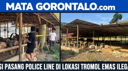 Gerebek Tambang Ilegal di Suwawa Timur, Polda Gorontalo Amankan 9 Orang dan 142 Gram Emas